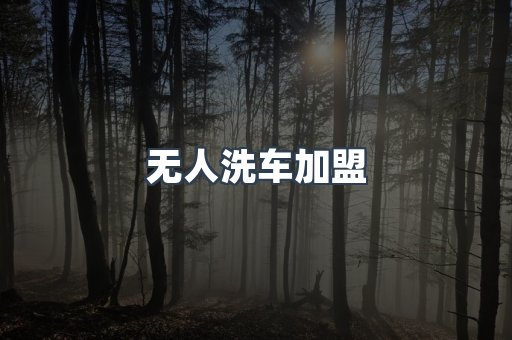 无人洗车加盟